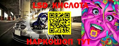 шишки Будённовск