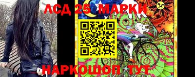 шишки Будённовск
