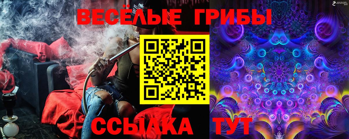 Ленинск-Кузнецкий  Галлюциногенные грибы мухоморы  Псилоцибиновые грибы GOLDEN TEACHER  Вход с VPN 